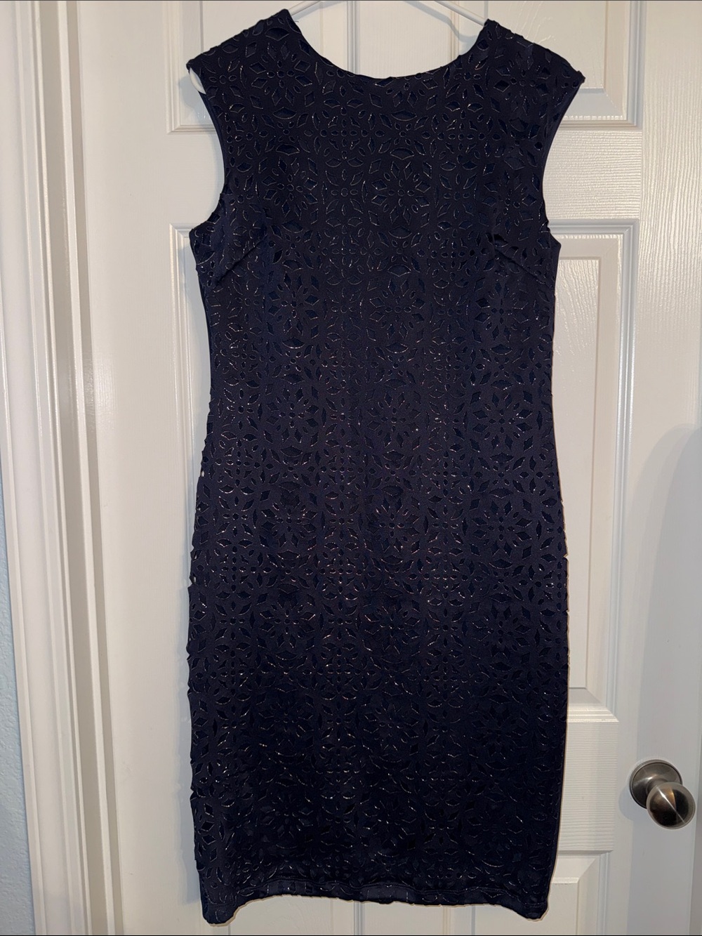 Enfocus Studio Navy Floral Lacercut Shift Dress